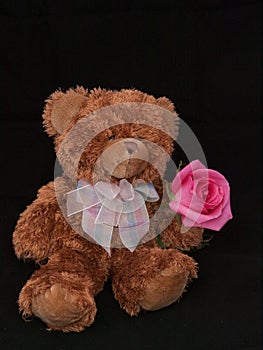 Teddy Bear with Rose