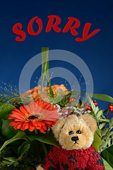 Teddy bear saying SORRY with flowers Blue background