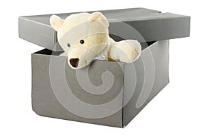 Teddy bear in a shoebox