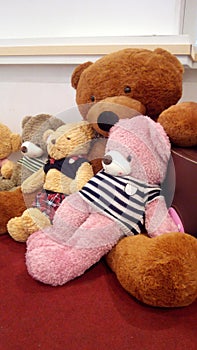 Teddy Bear Sit