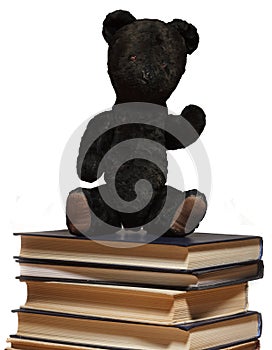 Teddy bear sit on a pile of books.