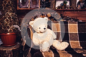 Teddy bear sits on couch.