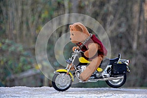 Teddy Bear sits on motorcycle