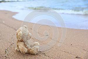 Teddy bear sitting on the beach look on the sea feel lonely.