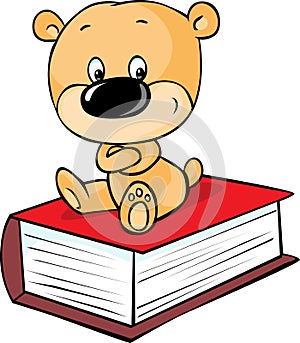 Teddy bear sitting on book on white