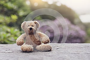 Teddy bear sitting on footpath with blurry natural background, Loneliness brown bear doll sitting alone, Retro and vintage style,