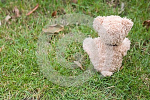 Teddy bear is sitting in the park.