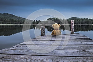 Teddy bear sitting on a pier