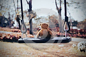 Teddy bear sitting on swing with flower park