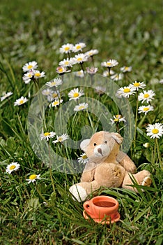Teddy bear sitting under flowers with a cup of tea.