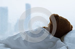 Teddy bear sleeping alone on bed with white pillow and blanket
