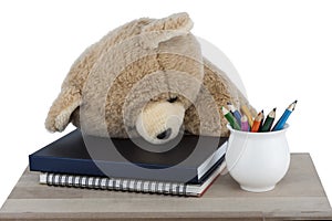 Teddy Bear is sleeping on the textbooks  isolated on white background