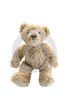 Teddy bear soft toy animale isolated on white background