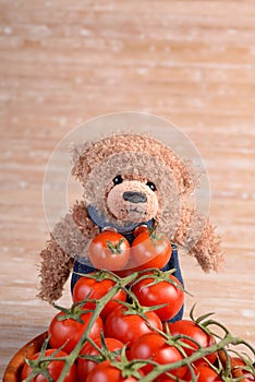 Teddy bear standing behind a pile of tomatoes. Copy space