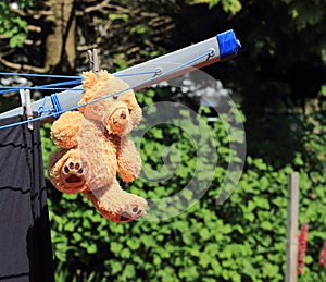 Teddy bear strung up to dry.