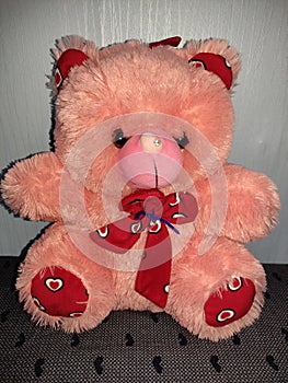 Teddy bear stufftoy