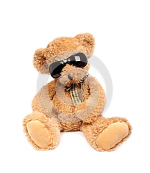 Teddy bear in sun glasses