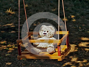 Teddy bear in swing chair outside - ursulet de plus in leagan