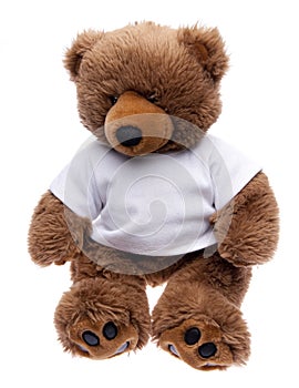 Teddy Bear in a Tee Shirt