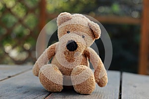 Teddy bear toy