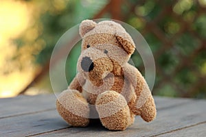 Teddy bear toy