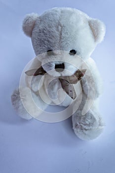 Teddy Bear toy alone with dark blue background. Lonely concept, lost child