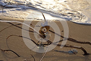 Teddy bear toy during golden hour perched on fallen tree branch