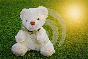 Teddy Bear toy sitting on green grass in nature