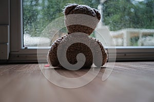 Teddy bear toy sitting by a large window looking out