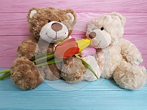 Teddy bear toy on a wooden tulip