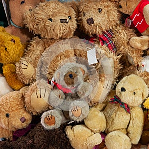 Teddy bear toys