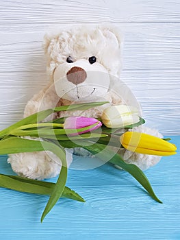 teddy bear, tulip, wooden friend