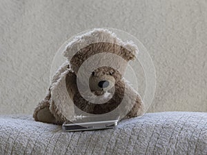 Teddy bear using smartphone