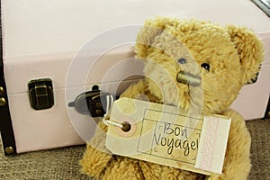 Teddy Bear with vintage suitcase and bon voyage luggage tag