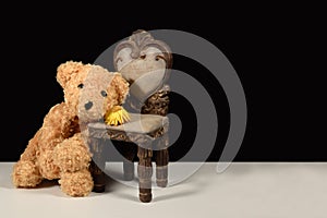 Teddy bear waiting sad yearning for you Dried flower