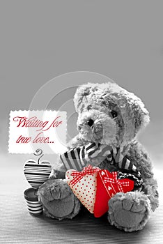 Teddy bear waiting for true love