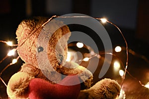 Teddy bear with warm led light