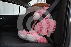 Teddy bear with wearing a hat, and seatbelt