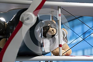 Teddy bear wearing pilot glasses and pilot`s jacket on the wing of a vintage aircraft