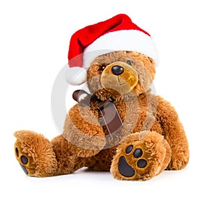 Teddy bear wearing a santa hat