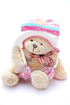 Teddy bear in winter clothes