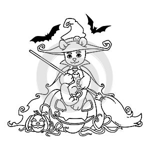 Teddy bear in a witch hat and mantle with a broom in his hands sits on a Halloween pumpkin with black cat and bats. Vector