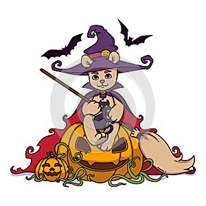 Teddy bear in a witch hat and mantle with a broom in his hands sits on a Halloween pumpkin with black cat and bats. Vector