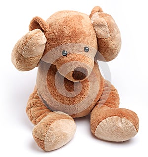 Teddy bear in a worry