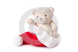 Teddy bear and xmas cap