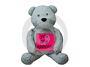 Teddy bear you are speciale message isolated photo