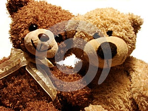 Teddy bears photo