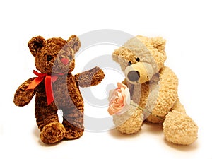 Teddy-bears