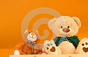 Teddy bears