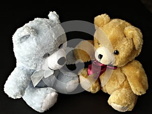 Teddy Bears